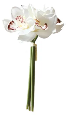 Produktbild von 4 Bündel künstliche Phalaenopsis-Blumen, realistische Haptik, große künstliche Orchideenblüten mit Stiel für Vase, Heimdekoration, Hochzeit, Partydekoration