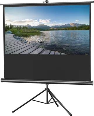 Produktbild von Celexon 1090259, 16:9, Schwarz, Weiß