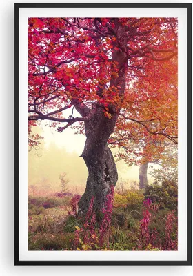 Produktbild von Gerahmtes Poster - Schwarzer Rahmen - Baum Natur Wiese - 61x91,5 cm - Wand Bild - Wanddeko - Wandbilder - Kunstposter - Wandposter - Bilderrahmen - Bilder - Kunstdruck - Wandbild - P2BPA61x91-3658