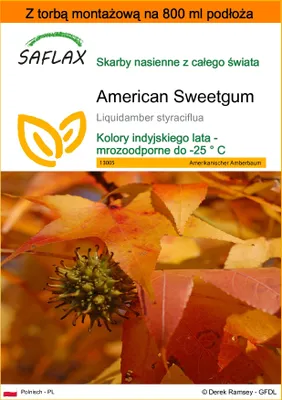 Zdjęcie produktu dla SAFLAX - Garden in the bag - American Sweetgum - 100 Nasiona - Z podłożem uprawowym w praktycznej, samorozkładającej się torbie - Liquidamber styraciflua