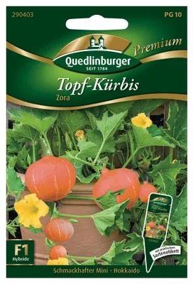 Produktbild von Topfkürbis Mini Hokkaido Zora | Gemüsesamen von Quedlinburger