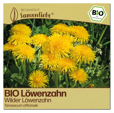 Produktbild von Samenliebe  Löwenzahn Samen | Wilder Löwenzahn - winterhart & mehrjährig - samenfestes  Saatgut