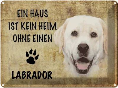 Produktbild von vianmo Blechschild 30x40 cm Labrador Hund ohne kein Heim