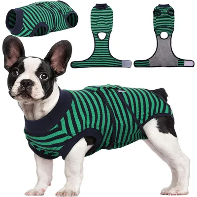 Produktbild von Hundebody Nach Op Atmungsaktiv Leckschutz Grün XS