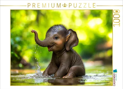 Produktbild von CALVENDO Puzzle Elefanten | 1000 Teile Lege-Größe 64x48cm Foto-Puzzle für glückliche Stunden