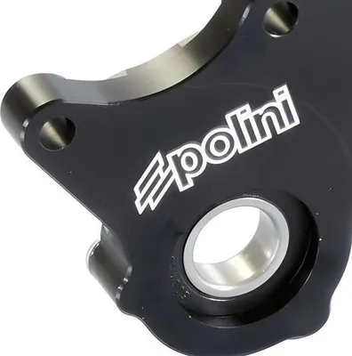 Immagine prodotto di Forcella posteriore Polini Torsen WD Evolution, compatibile con Piaggio Zip SP