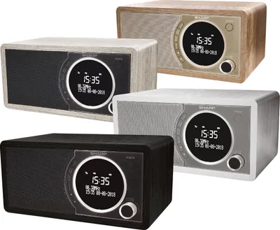 Obrázok produktu pre Sharp DR-450, Osobné, Digitálny, DAB, DAB+, FM, 87,5 - 108 MHz, 174.928 - 239.2 MHz, 3 W