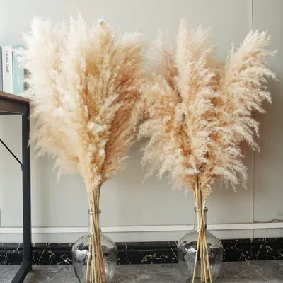 Immagine prodotto di Omgoods - Decorazione naturale con pampas, composta da 10 steli, ideale per interni in stile boho