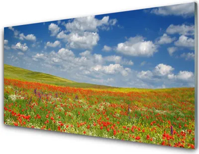 Produktbild von Acrylglasbilder 100x50 Wandbild Druck Wiese Blumen Landschaft