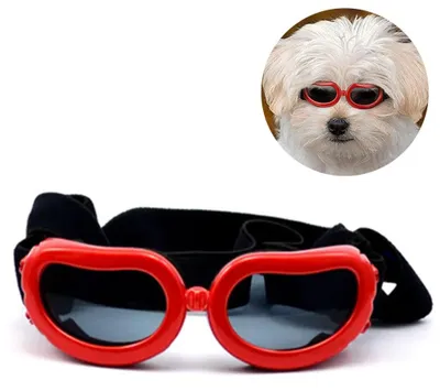 Produktbild von Hundesonnenbrille, UV-Schutz, wasserdicht, verstellbar, für kleine Hunde/Katzen, Rot
