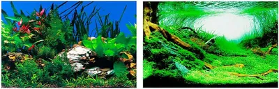 Immagine prodotto di Ferplast Acquario Sfondo Bifacciale Immagine Blu 9040 60X40Cm