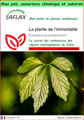 Image de SAFLAX Garden to go - La plante de l’immortalité - 30 graines - Gynostemma