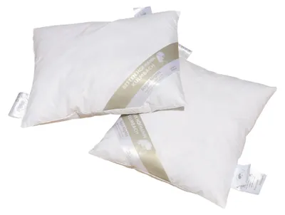 Produktbild von 2 Stück Federkissen Kleinkissen Kuschelkissen Sofakissen Dekokissen 35x40 200g