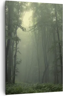 Produktbild von Bild auf Leinwand - Leinwandbild - Einteilig - Wald Nebel Baum - 70x100cm - Wand Bild - Wanddeko - Wandbilder - Leinwanddruck - Kunstdruck - Wanddekoration - Leinwand bilder - Wandbild - PA70x100-3543