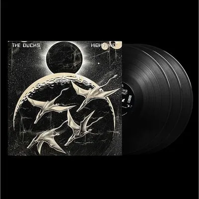 Image de High Flyin' (Vinyle)