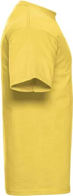 Produktbild von Russell - T-Shirt für Herren PC5341 (XL) (Burgunderrot)