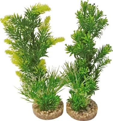 Obrázek produktu pro Akvarijní rostlina bez značky 349701