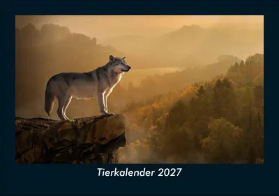Produktbild von Tierkalender 2027 Fotokalender DIN A5