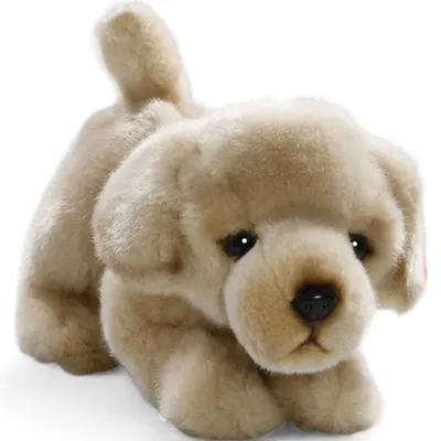 Zdjęcie produktu dla Carl Dick Golden Retriever Floppy ok. 23 cm 3217 Przytulanka, miękka zabawka, przytulanka