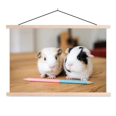 Produktbild von MuchoWow® Textilposter Entzückende Baby-Meerschweinchen 60x40 cm mit holzfarbenen Rahmen - Bilder