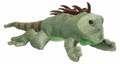 Image de Cornelissen - Doudou - Iguane - 35 cm