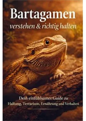 Image de Bartagamen verstehen & richtig halten