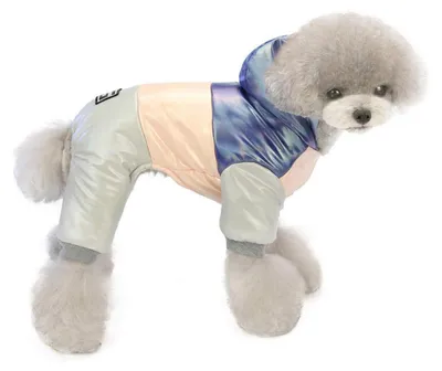Immagine prodotto di Cappotto per cani, quattro zampe, giacca invernale, antivento, taglia XL, blu