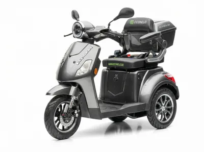 Image de Vélo électrique pour seniors P1000, batterie au lithium, 25 km/h, 1000 watts, gris