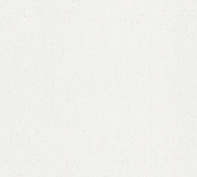 Obrázek produktu pro A.S. Création netkaná tapeta Meistervlies Pro Protect 2, bílá, malovatelná, 10,05 m x 0,53 m, 241511, 2415-11