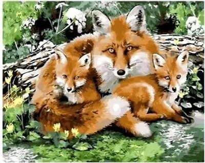 Produktbild von 50x40 cm Malen nach zahlen Set mit Holzrahmen Familie Fuchs