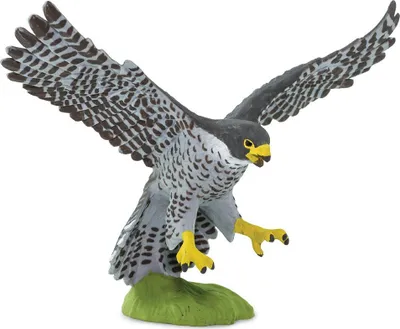 Produktbild von Safari Ltd Peregrine Falcon Grey From 3 years