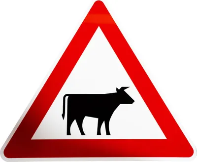 Produktbild von ORIGINAL Verkehrsschild Nr. 101-22 * Viehtrieb Aufstellung links * SL 900 mm nach StVO und RAL-Gütebedingungen Achtung Warnschild Strassenschild Hinweisschild Gefahrenzeichen Schild Kuh Rind