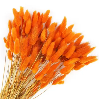 Obrázok produktu pre Sušené kvety, chvosty králikov, pampasová tráva, 120 kusov, oranžová, 42 cm
