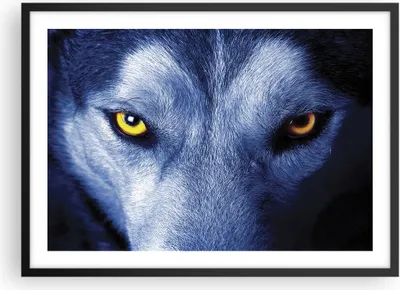 Produktbild von Gerahmtes Poster - Schwarzer Rahmen - Schau der Wolf Augen - 70x50 cm - Wand Bild - Wanddeko - Wandbilder - Kunstposter - Wandposter - Bilderrahmen - Bilder - Kunstdruck - P2BAA70x50-4587
