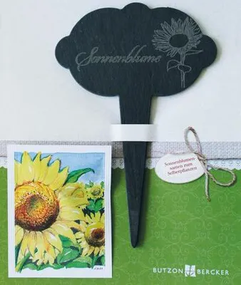 Produktbild von Sonnenblume
