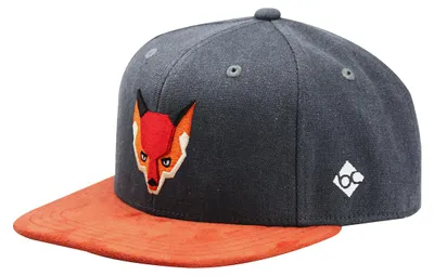 Bavarian Caps Kinder Snapback Cap "Waldfuchs" aus Baumwolle in grau