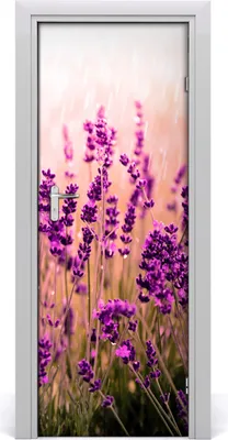 Produktbild von Tulup Türaufkleber 75x205 cm Dekorative Aufkleber Selbstklebend Wasserdichte Tapete Abnehmbar Schlafzimmer Wohnzimmer Wohnkultur - Lavendelfeld