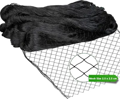 Produktbild von Vogelschutznetz 10m x 10m, schwarz, Maschenweite 2,5 x 2,5 cm, für Hühnergehege