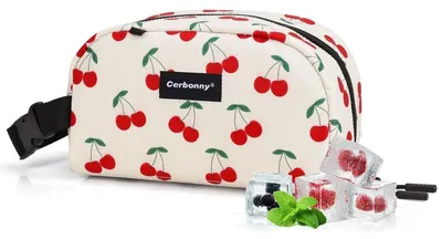 Produktbild von Kleine Kühltasche gefrierbar Lunchtasche für Arbeit Schule Reisen isoliert Cherry