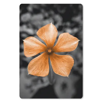 Produktbild von MuchoWow® Mauspad Mousepad Blumen - Orange - Schwarz - Weiß 18x27 cm - Mousepads - Maus Mat - Pad - Mausunterlage
