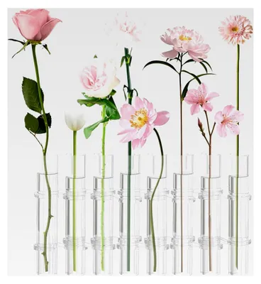 Produktbild von 8-teiliges Reagenzglas-Vasenset, 7,1x1,2 Zoll, klappbare dekorative Reagenzglasvase aus klarem zylindrischem Glas für Büro, Labor, Studium, hydroponische Pflanzen und Blumenarrangements