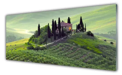 Produktbild von Acrylglasbilder 125x50 Wandbild Druck Wiese Bäume Natur
