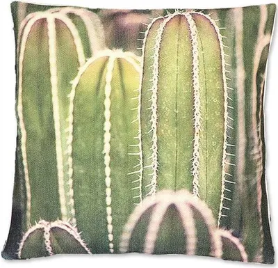Produktbild von Dekokissen, Zierkissen CACTUS 1 mit Kakteenmotiv 45x45cm LEMETEX WA