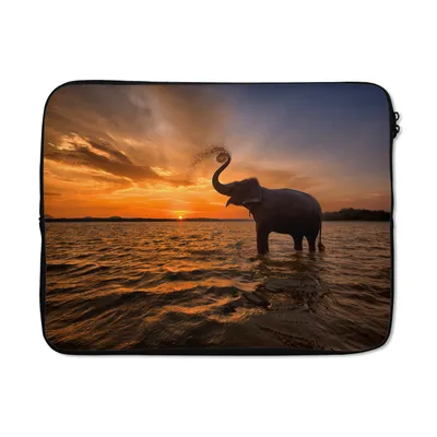 Produktbild von MuchoWow® Laptop Hülle 15 Zoll Elefant - Meer - Tiere - Sonnenuntergang - Orange Laptoptasche - Laptoptasche - Sleeve - Rundum-Schutz