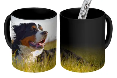 Obrázek produktu pro MuchoWow® Kouzelný pohár Bernský salašnický pes leží v trávě 350 ml Barva měnící se pohár Dárkový nápad - foto hrnek