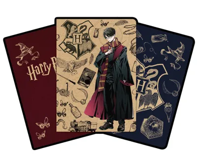 Obrázek produktu pro Harry Potter Set bloků A6 Hogwarsds Wizard