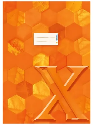 Image de HERMA 20082 Protège-cahier carton X A4 orange
