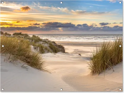 Produktbild von MuchoWow® 120x90 cm Outdoor-Poster Gartendeko Sichtschutz Garten Poster für den Garten  Strand - Düne - Gras - Sonnenuntergang - Meer