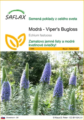 Obrázok produktu pre SAFLAX - Modrá - Viper's Bugloss - Echium fastuosa - 100 Semená
