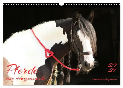 Produktbild von Pferde - eine Herzenssache (Wandkalender 2027 DIN A3 quer), CALVENDO Monatskalender